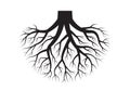 Tree roots. Black plant silhouette. Vector illustration. Royalty Free Stock Photo